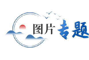图片专题