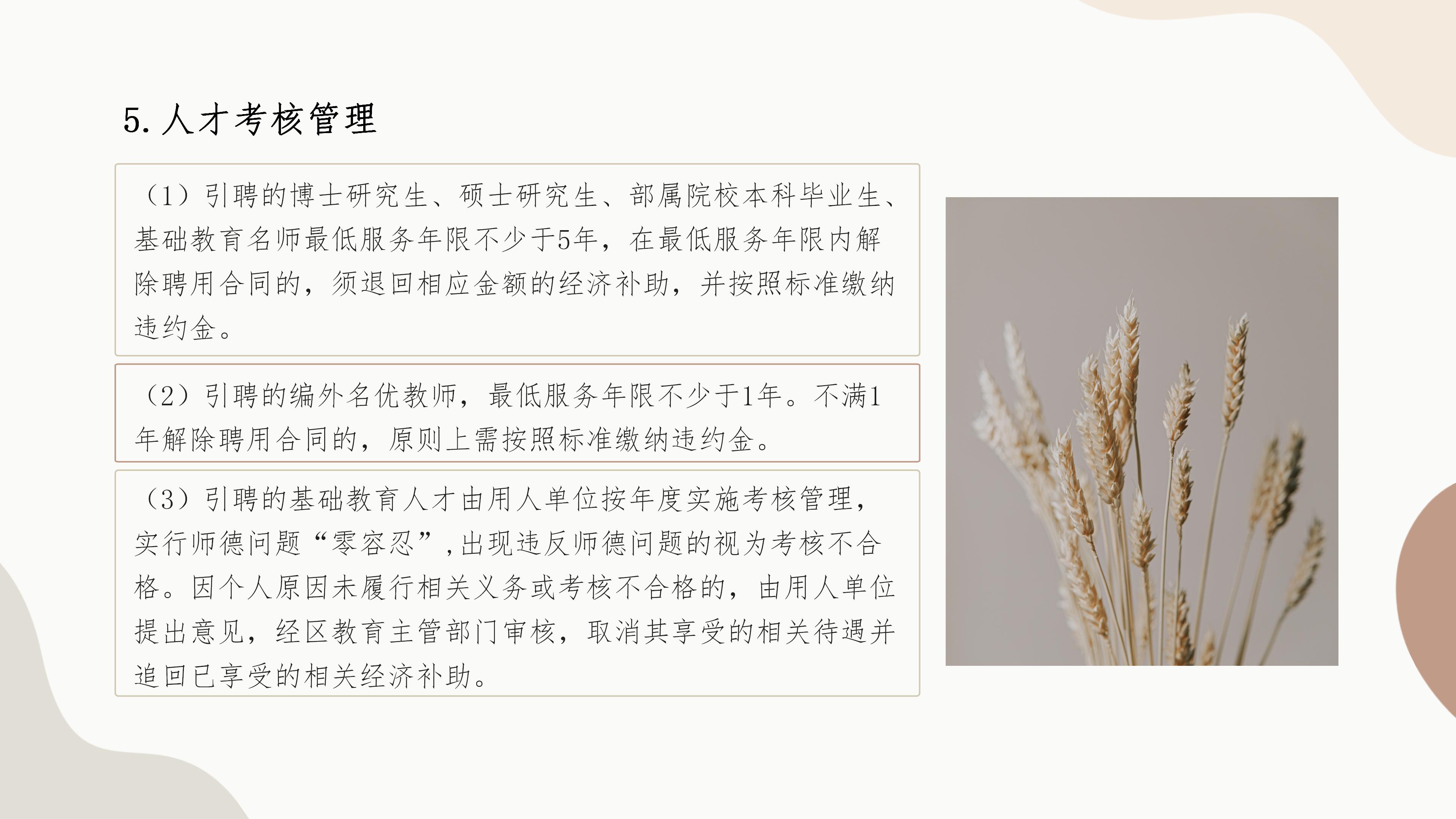 政策解读_11